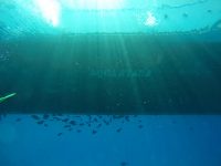 DCIM100GOPROGOPR2253.