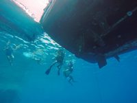 DCIM100GOPROGOPR2254.