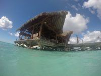 DCIM100GOPROGOPR2769.