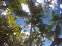 DCIM100GOPROGOPR2786.