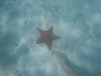 DCIM100GOPROGOPR2806.