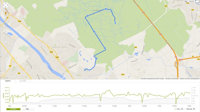canicross002