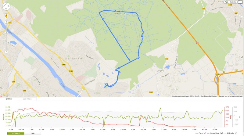 canicross005